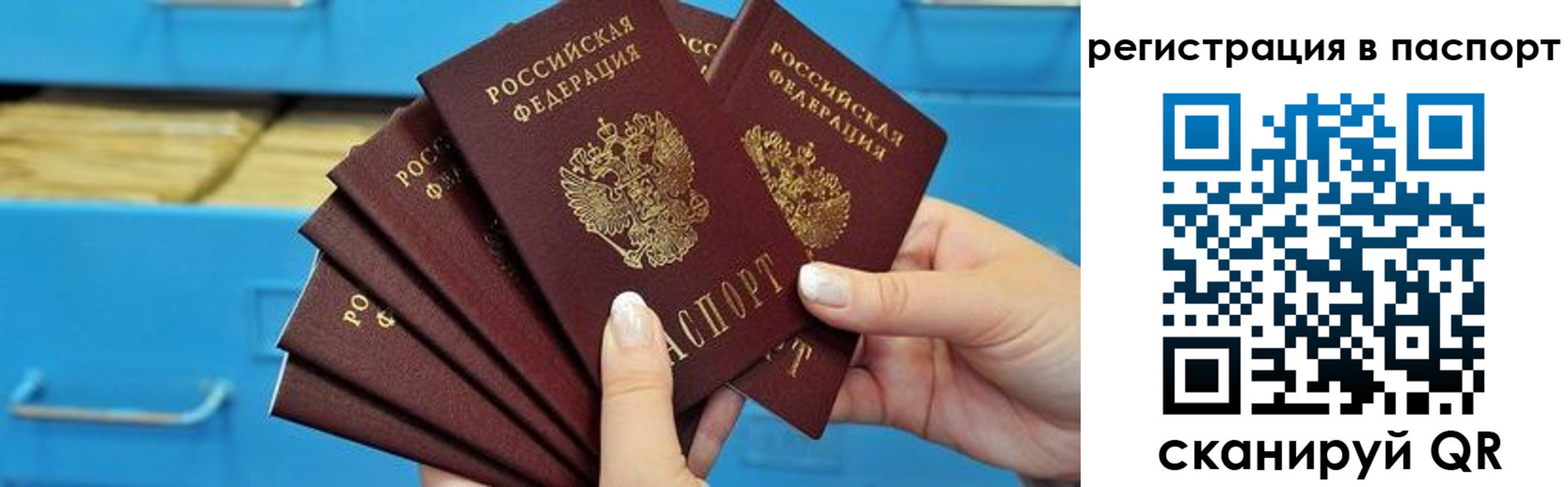 регистрация в Михайловке